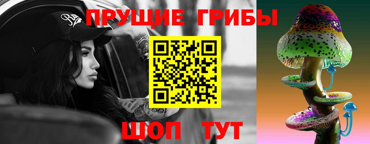 Омск  Псилоцибиновые грибы Cubensis  Псилоцибиновые грибы Psilocybe  Вход с VPN 